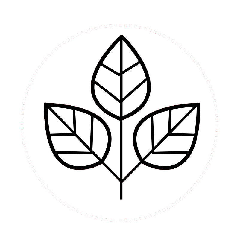 Icon 8