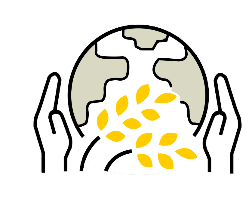 Icon 6